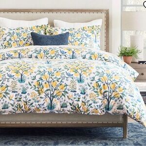 Pottery Barn Lemon Capri King Duvet and 2 King Shams